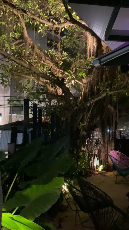 sitemgr_photo_1286-2 sitemgr_photo_1286-2