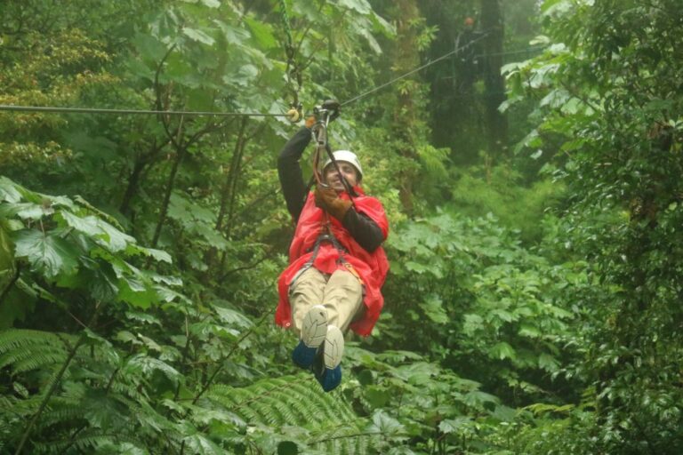 sitemgr_photo_1685-2 sitemgr_photo_1685-2