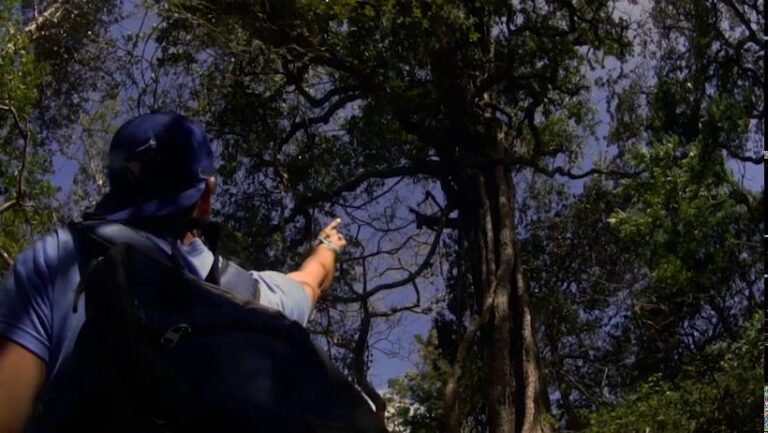 sitemgr_photo_1686-2 sitemgr_photo_1686-2