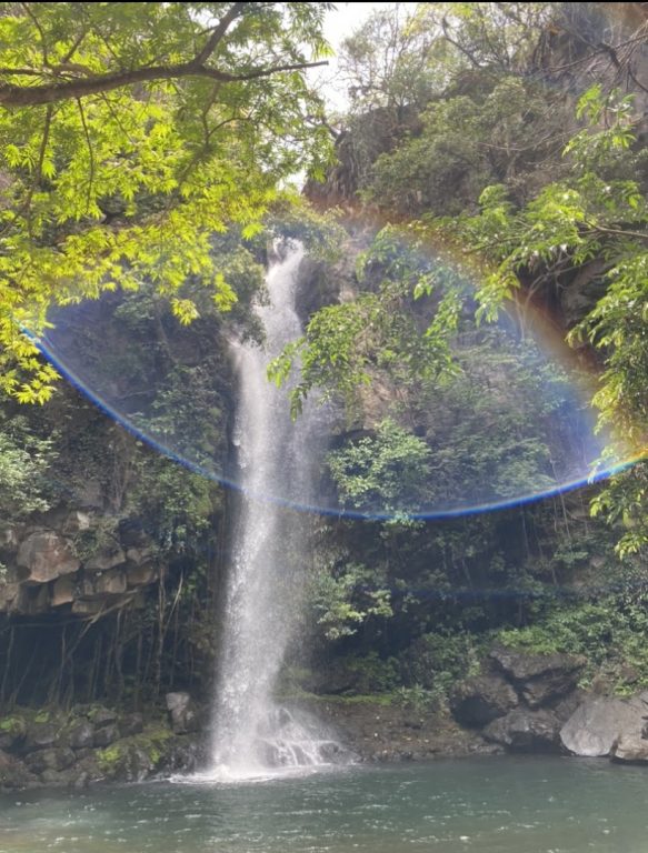 sitemgr_photo_1694-2 sitemgr_photo_1694-2