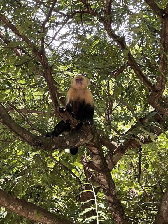sitemgr_photo_1698-1 sitemgr_photo_1698-1