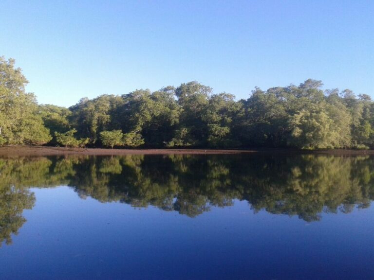 sitemgr_photo_1702-2