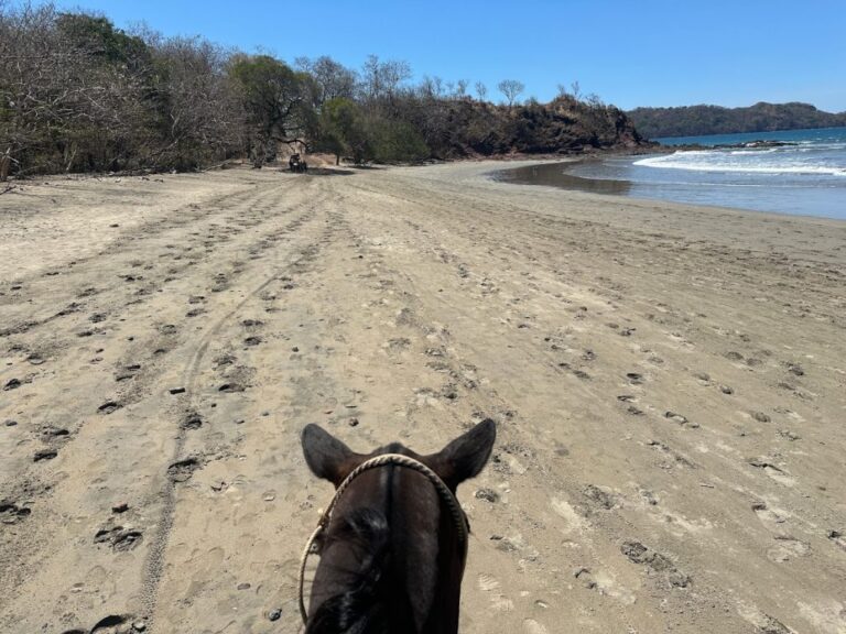 sitemgr_photo_1706-2