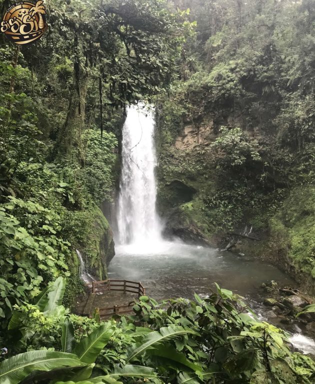 sitemgr_photo_1749-1 sitemgr_photo_1749-1