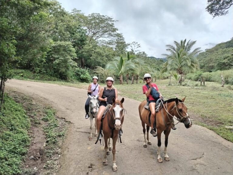 sitemgr_photo_1765-1 sitemgr_photo_1765-1