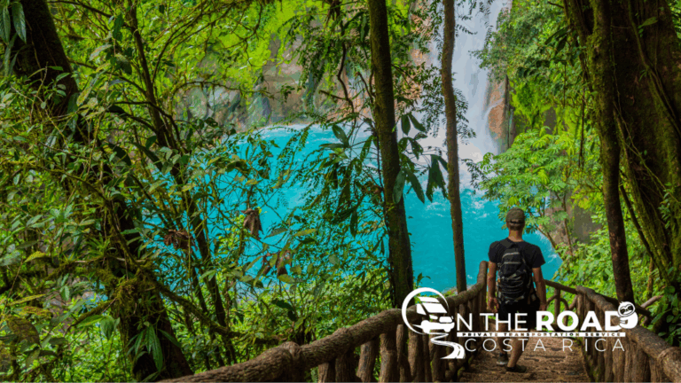 sitemgr_photo_1768-1 sitemgr_photo_1768-1