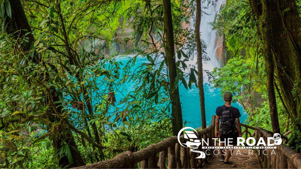 sitemgr_photo_1768-3 sitemgr_photo_1768-3