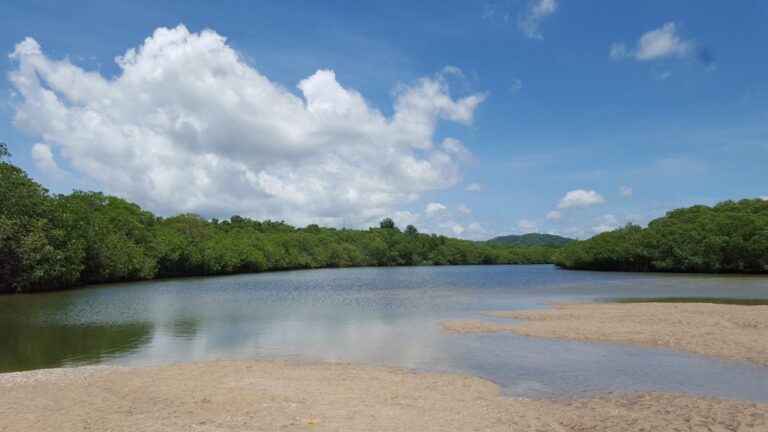 sitemgr_photo_1814-1