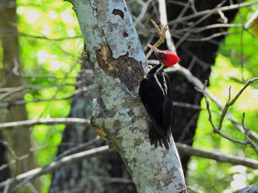 sitemgr_photo_1818-3 sitemgr_photo_1818-3