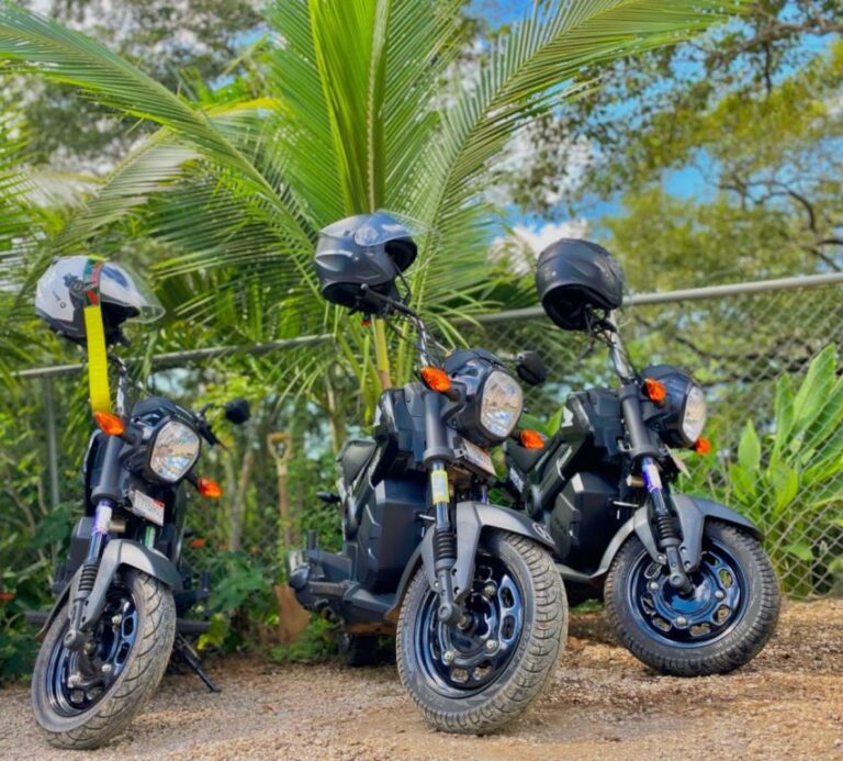 sitemgr_photo_1878-3