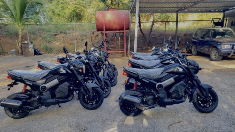 sitemgr_photo_1879-3