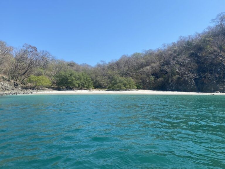 sitemgr_photo_2040-3