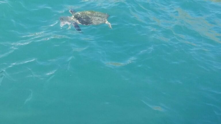 sitemgr_photo_2042-3