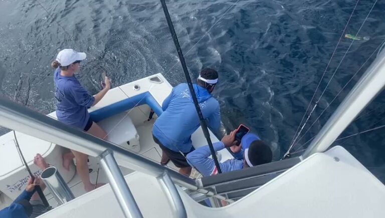 sitemgr_photo_2208-3