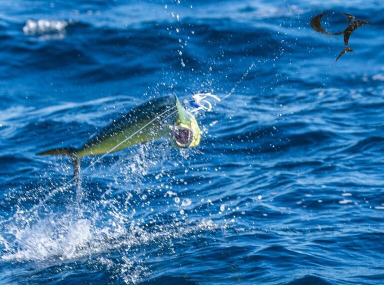 sitemgr_photo_2211-3