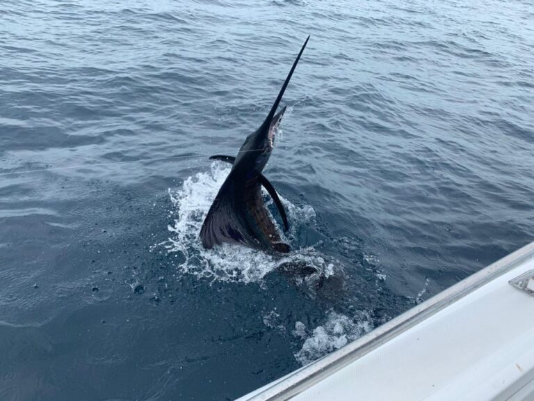 sitemgr_photo_2216-3