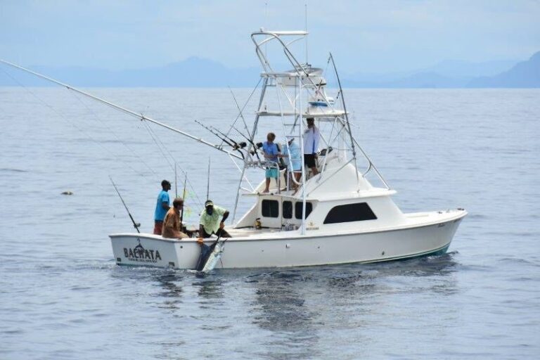 sitemgr_photo_2224-3 sitemgr_photo_2224-3