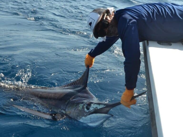 sitemgr_photo_2232-3