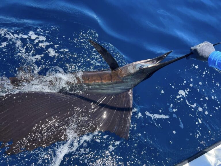 sitemgr_photo_2240-3