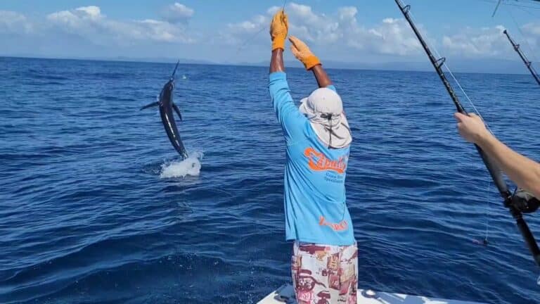 sitemgr_photo_2242-3