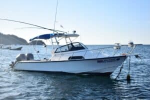 sitemgr_photo_2264-3