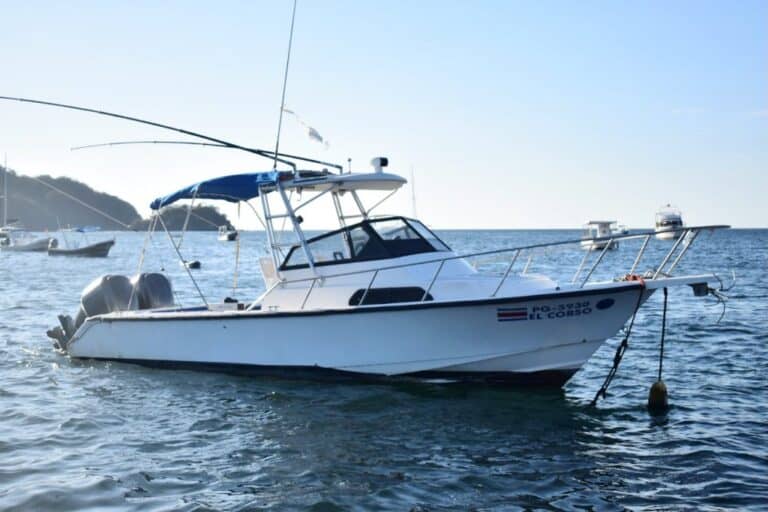 sitemgr_photo_2264-3 sitemgr_photo_2264-3