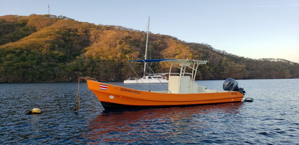 sitemgr_photo_2275-3 sitemgr_photo_2275-3