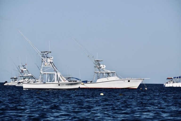 sitemgr_photo_2278-3 sitemgr_photo_2278-3