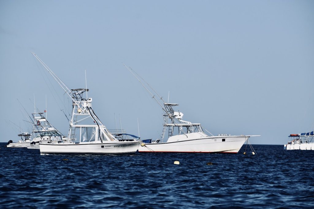 sitemgr_photo_2278-3 sitemgr_photo_2278-3