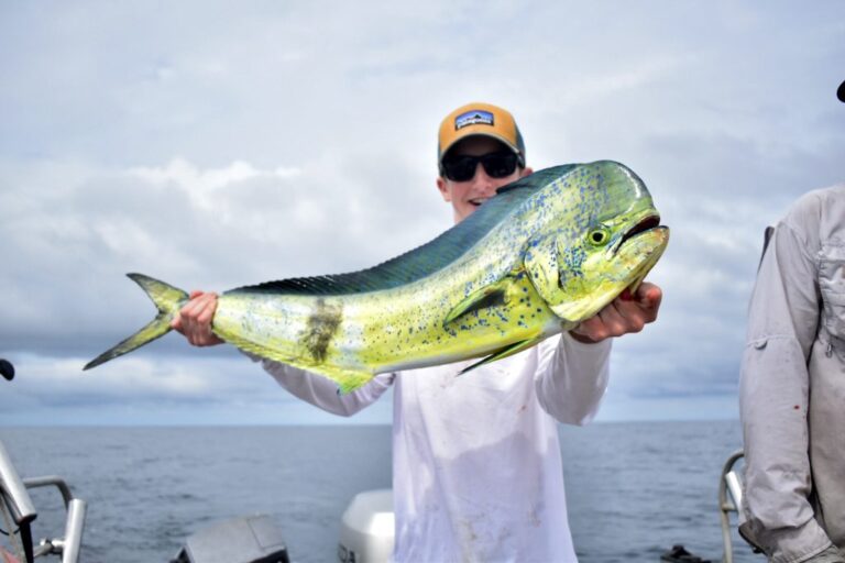 sitemgr_photo_2287-3