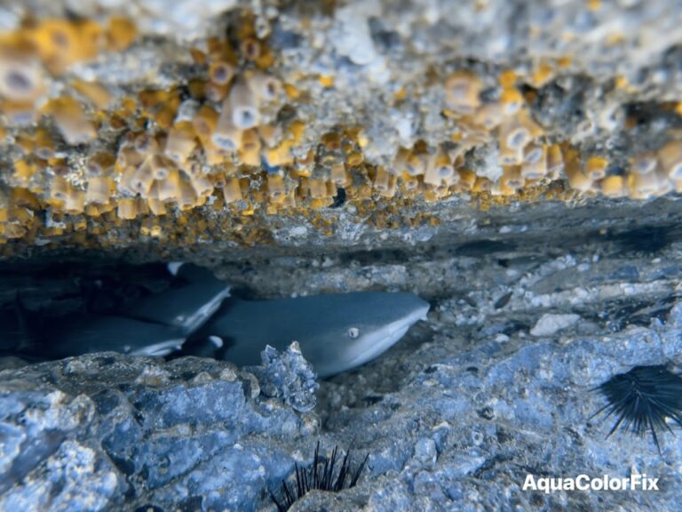 sitemgr_photo_2327-3