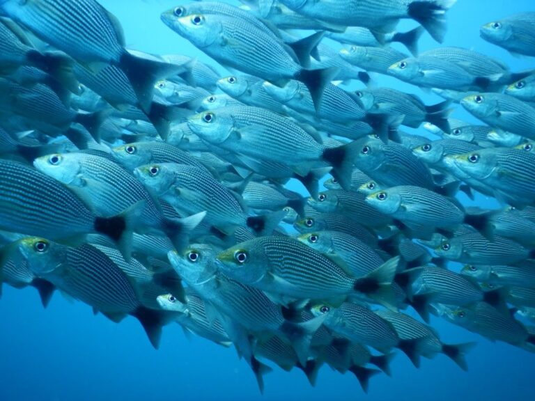 sitemgr_photo_2330-3