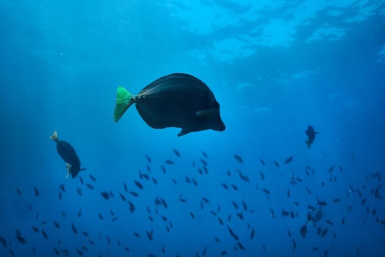 sitemgr_photo_2343-2 sitemgr_photo_2343-2