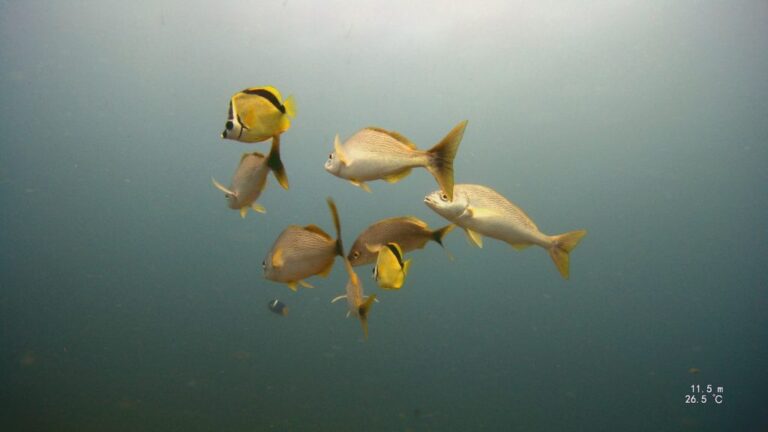 sitemgr_photo_2345-2 sitemgr_photo_2345-2