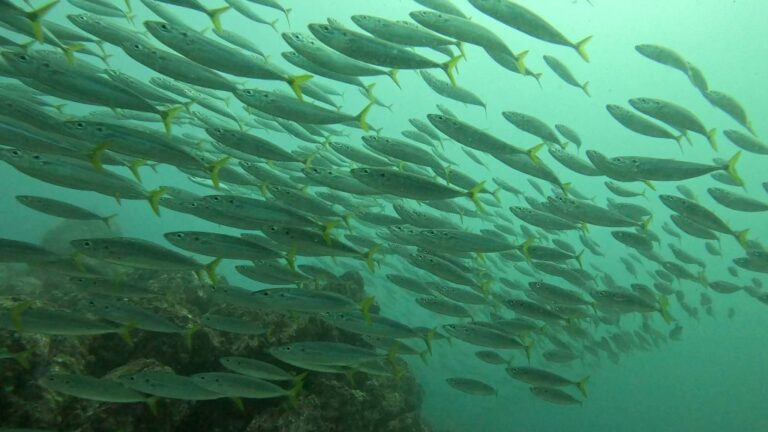 sitemgr_photo_2347-2 sitemgr_photo_2347-2