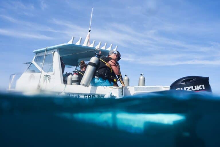 sitemgr_photo_2350-2 sitemgr_photo_2350-2