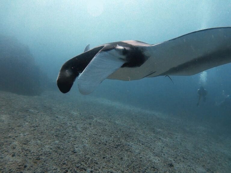 sitemgr_photo_2351-2 sitemgr_photo_2351-2