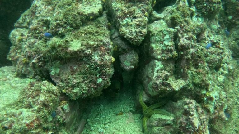 sitemgr_photo_2352-2 sitemgr_photo_2352-2