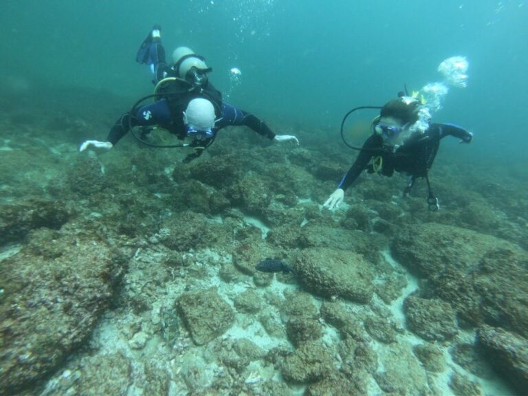 sitemgr_photo_2384-2