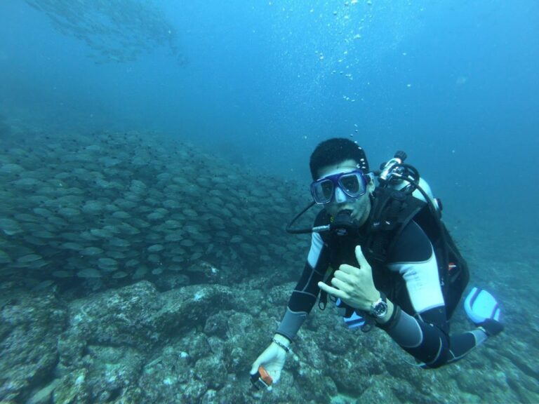 sitemgr_photo_2385-2