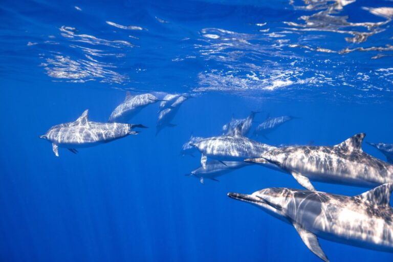 sitemgr_photo_2391-2 sitemgr_photo_2391-2