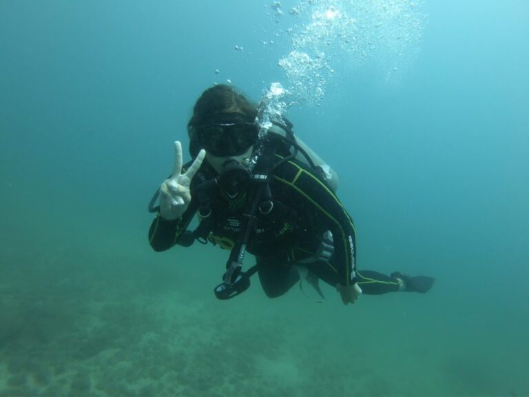 sitemgr_photo_2392-2 sitemgr_photo_2392-2