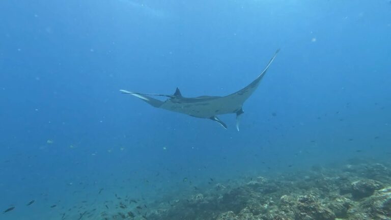 sitemgr_photo_2398-2