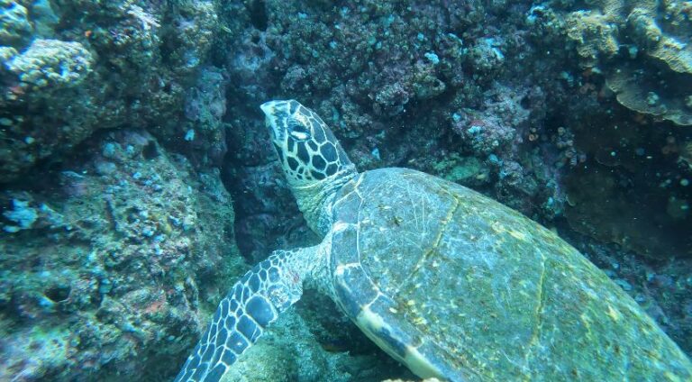 sitemgr_photo_2399-2