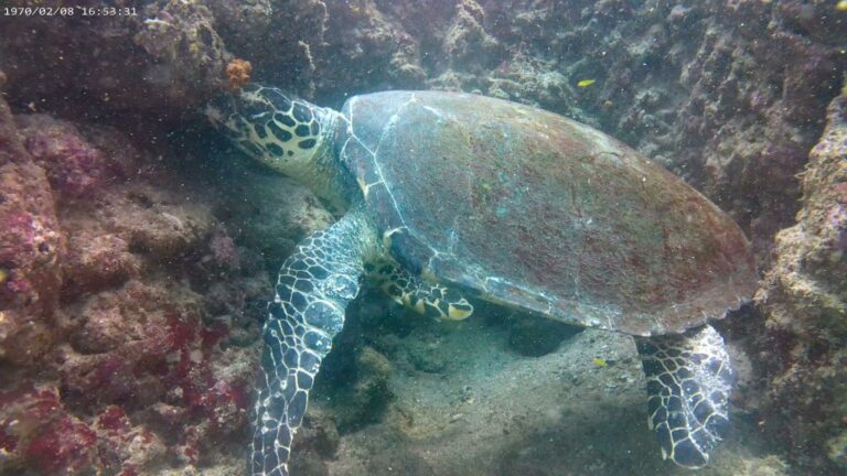 sitemgr_photo_2400-2