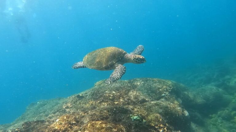 sitemgr_photo_2406-2