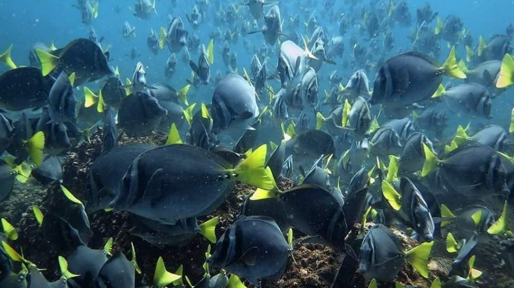 sitemgr_photo_2430-2 sitemgr_photo_2430-2