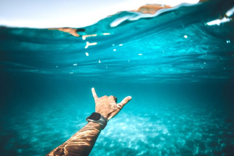 sitemgr_photo_2431-2 sitemgr_photo_2431-2