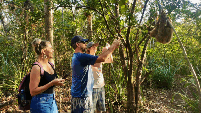 sitemgr_photo_2490-1