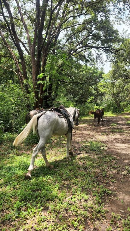 sitemgr_photo_2494-2 sitemgr_photo_2494-2